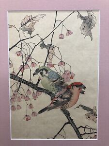Imao Keinen Crossbill 1892 Japanese Original Woodblock Print 