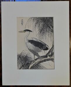 Japanese Ukiyo E Woodblock Print Imao Keinen Willow Black Crowned Night Heron 