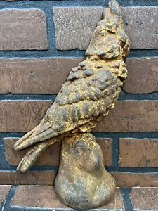 Antique Cast Iron Cockatoo Parrot Bird Doorstop Vintage
