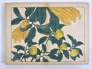 Japanese Woodblock Print Book Shiki No Hana Vol 10 Flower Vintage Original