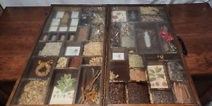 Apothecary Herbal Medicine Case 1900s Container Prior University Display Piece