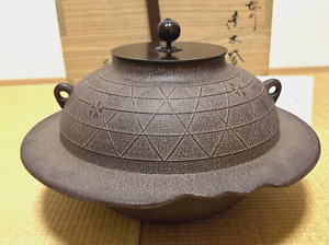 M1425 Xf Japanese Old Iron Landscape Tea Kettle Teapot Tetsubin Ryubundo Made