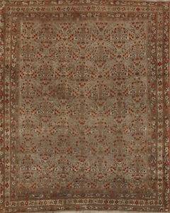 Pre 1900 Vegetable Dye Sarouk Farahan Antique Rug 5x6 Wool Hand Knotted Carpet