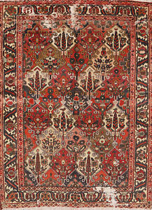 Vintage Garden Design Wool Bakhtiari Area Rug 5x7 Tribal Hand Knotted Carpet
