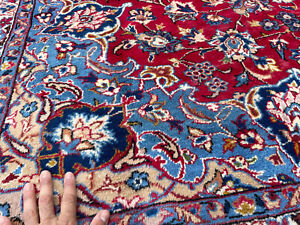 9x12 Oriental Rug Antique Hand Knotted Wool Handmade Vintage Carpet Red Blue Big