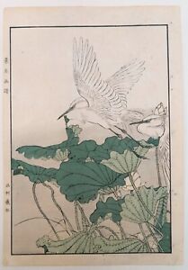 Imao Keinen Original Antique Japanese Woodblock Print Bird Lotus