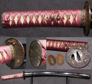 Fine Fitting Dragon Tsuba Long Wakizashi Japan Edo Original Tsuba Sword Antique