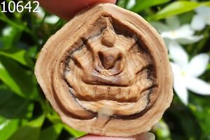 Sam Roi Yod Stone Leaf Arahant Pra Tath Relics Phra Somdej Thai Amulet 10642