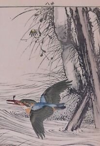 Japanese Ukiyo E Woodblock Print Imao Keinen Astor Kingfisher