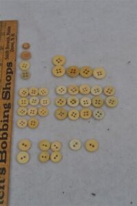 Antique Sewing Buttons Bone 2 4 4 Hole Shirt 1 2 3 8 In Matches Lot Original