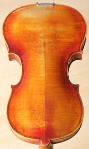 Old Vintage Violin 4 4 Geige Viola Cello Label Vincentius Postiglioni Nr 1183