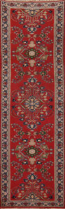 Red Floral Agra Indian 12 Runner Rug 3x12 Handmade Wool For Hallway