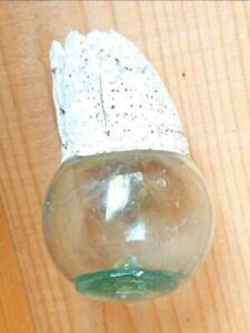 Already A Work Of Art This Is A Very Rare Glass Bead Barnacle Fishing Float 