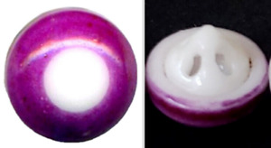 Diminutive Dimi China Birdcage Shank Antique Button Purple