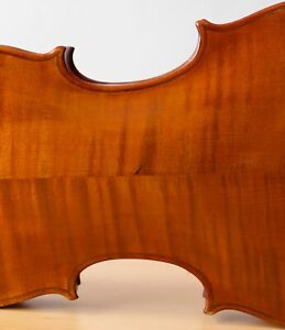 Old 4 4 Violin Geige Viola Cello Bratsche Fiddle Lab Bernardus Calcanius Nr 236