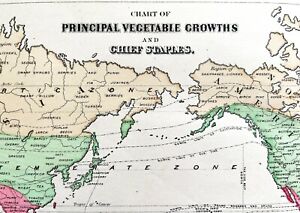 1885 Antique Large Color Map Vegatable Growth World Maury Original Rare