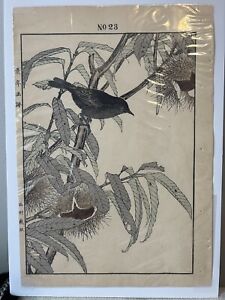 Keinen Imao 1891 Woodblock Print No 23 1st Edition Audubon Seitei