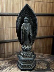 Buddha Amida Nyorai Amitabha Wooden Statue 8 4 Inch 19th C Edo Japanese Antique