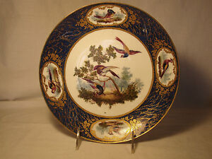 18thc Louis Xv Sevres Hard Paste Porcelain Exotic Birds Plate C1770