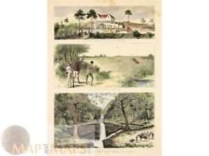 St Thomas Island Old Print With Sketches Of The West Coast Of Africa