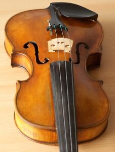 Old 4 4 Violin Geige Viola Cello Bratsche Fiddle Label Antonio Testore Nr 928