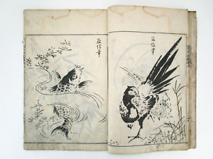 1750 Japanese Woodblock Print Book Antique Original Classic Picture Model Edo 5