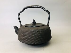 Y6200 Tetsubin Iron Kettle Nambu Nanbu Ironware Teapot Pot Signed Japan Antique