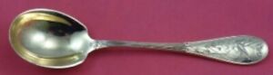 Audubon By Tiffany And Co Sterling Silver Sugar Spoon With Gold Washed Bowl 6 
