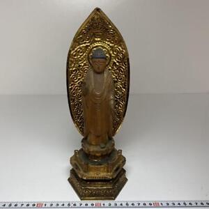 Amida Nyorai Buddha Wood Carving Statue 12 Inch Tall Japanese Antique Figurine