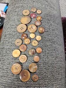 Lot Of 25 Vegetable Ivory Vintage Buttons Some Whistles A12