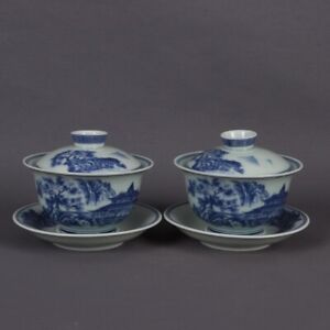 Chinese Antique Pair Blue And White Porcelain Pattern Covered Bowl