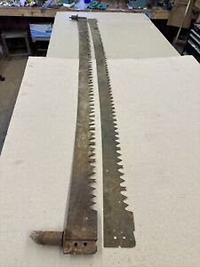 Lot Of 2 Antique 6 2 Man Crosscut Saw Blades No Handles 3 And 2 3 4 Wide