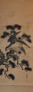 T1743 Japanese Vintage Hanging Scroll Kakejiku Print Paper Hawk Pine Tree