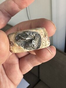 Ojuelos De Jalisco Ancient Alien Authentic Meteorite Ring