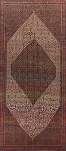 Pre 1900 Antique Senneh Vegetable Dye Ivory 8 X20 Area Rug Palace Size Handmade
