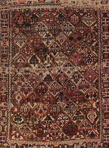 Garden Design Wool Bakhtiari Vintage Area Rug 6x9 Traditional Handmade Carpet