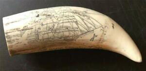  Bark Veronica Fine Details Historic Sperm Whale Tooth Scrimshaw Reproduction