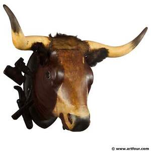 Very Large Wooden Carved Bull Head From A Butchery Ca 1880