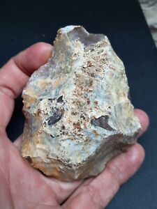 Paleolithic Mousterian Of Acheulean Tradition Biface Hand Axe Neanderthal