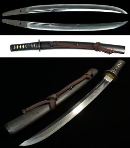 Antique Japanese Sword Mumei Koshirae Nihonto Edo Wakizashi Samurai Katana