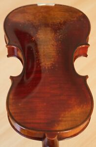 Old 4 4 Violin Geige Viola Cello Bratsche Fiddle Label Marcucci Custode Nr 1048
