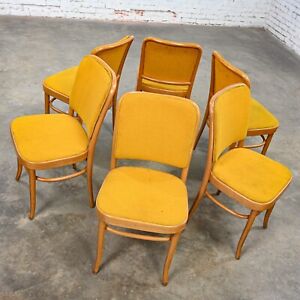 6 Armless Bauhaus Beech Bentwood J Hoffman Prague 811 Dining Chair Style Thonet