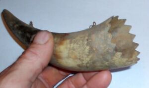Primitive Antique Hunting Powder Horn Cow Bull Rustic Country Farm Military