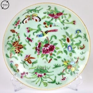 19th Century Chinese Porcelain Celadon Plate Birds Butterflies Signed Famille Ro