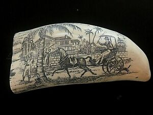 Very Nice Detailed Scrimshaw Sperm Whale Tooth Resin Replica Wearing Co 7 