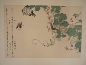 Kitagawa Utamaro Woodblock Print Insect Masterpieces Bee And Caterpillar