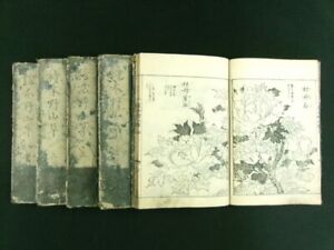 Wild Grass Japanese Woodblock Print 5 Books Set Kano Sch Flower 1755 Edo B583