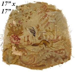 Antique Silk Wool 17 Needlepoint Petitpoint Fragment For Pillow Fox Crane