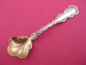 Sterling Whiting Master Salt Spoon Louis Xv 1891