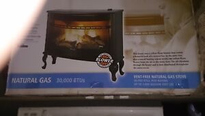 Vent Free Gas Fireplace Heater